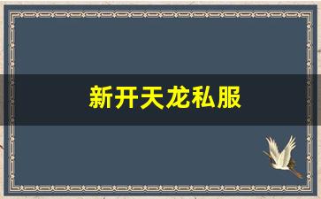 新开天龙私服 (11)