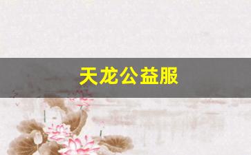 天龙发布网：天龙公益服(天龙战力com公益服) (2)