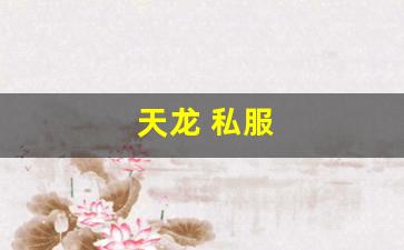 天龙sf发布网：天龙 私服(天龙手游私sf下载) (9)